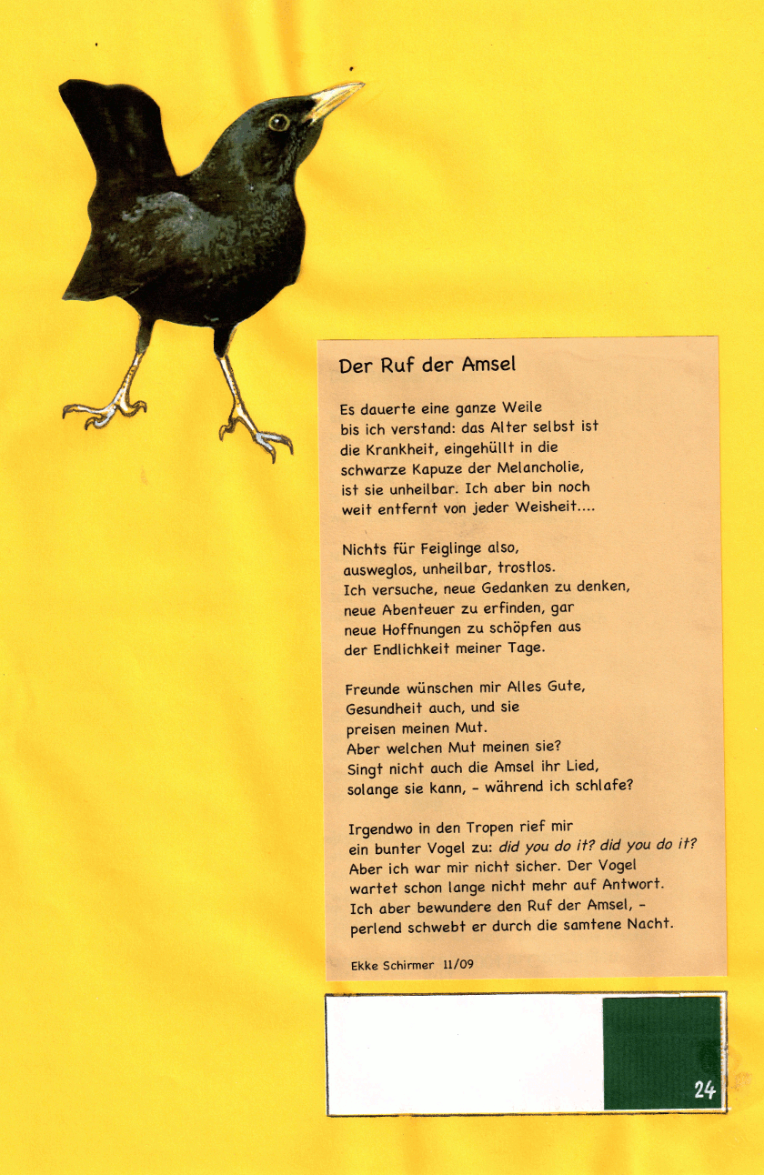 Der Ruf der Amsel